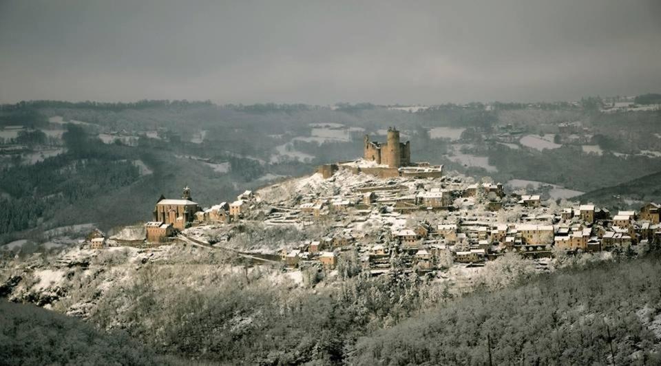 Logis Hotel Le Belle Rive Najac Zewnętrze zdjęcie